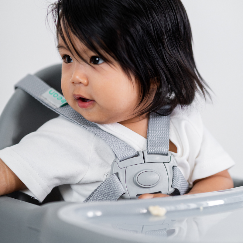 Flexi Tot 2-in-1 High Chair