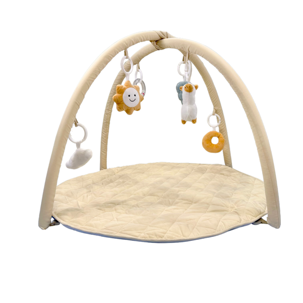 Play Mat and Activity Gym