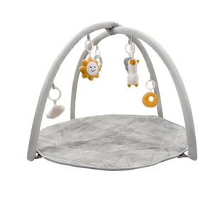 Play Mat and Activity Gym