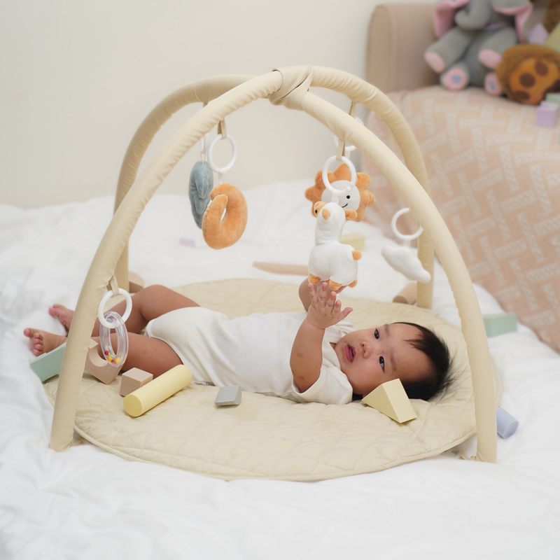 Play Mat and Activity Gym