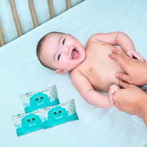 Mini Wipes Fragrance Free (32 sheets)