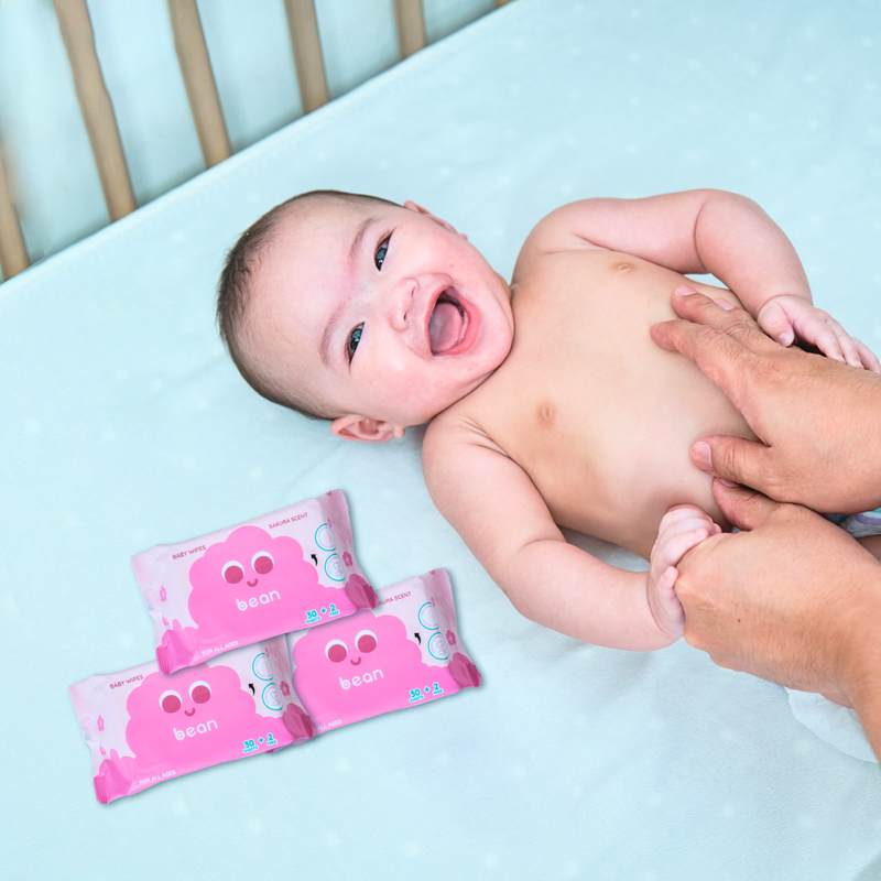 Mini Wipes Sakura Scent (32 sheets)