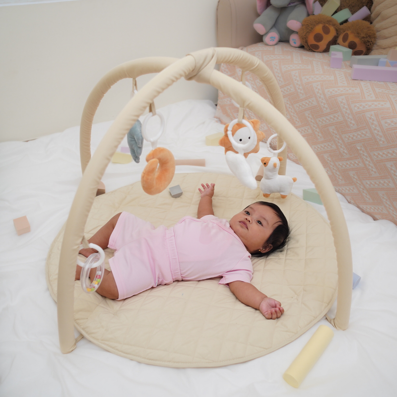 Play Mat and Activity Gym