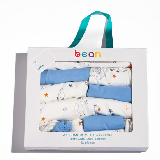Lion 12PCS Welcome Home Baby Gift Set