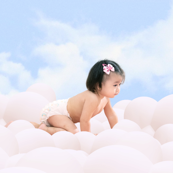 Cloud Fit Diapers Large (30s)