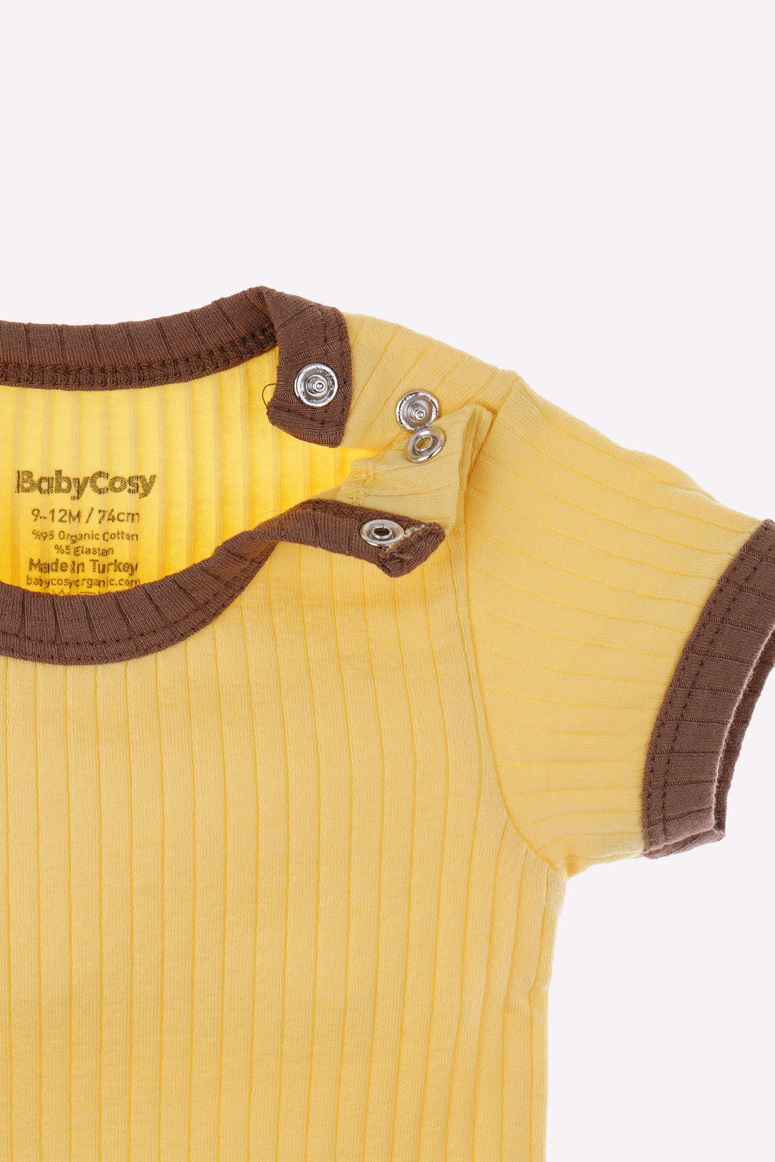 Babycosy Organic Shortsleeves Bodysuit Set of 2 (Vanilla Brown)